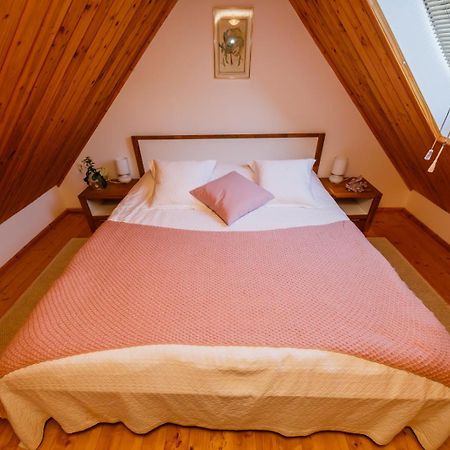 Beautiful Cottage With Heated Pool For 22 Ppl Plaški 外观 照片