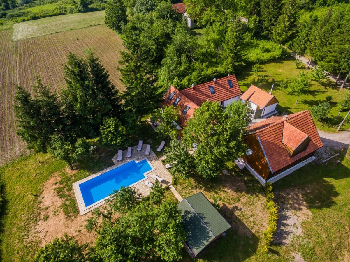 Beautiful Cottage With Heated Pool For 22 Ppl Plaški 外观 照片
