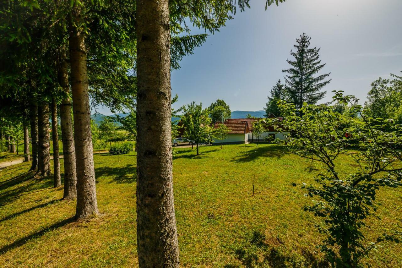 Beautiful Cottage With Heated Pool For 22 Ppl Plaški 外观 照片