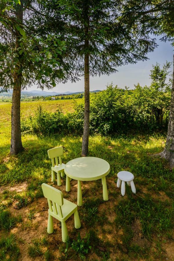 Beautiful Cottage With Heated Pool For 22 Ppl Plaški 外观 照片