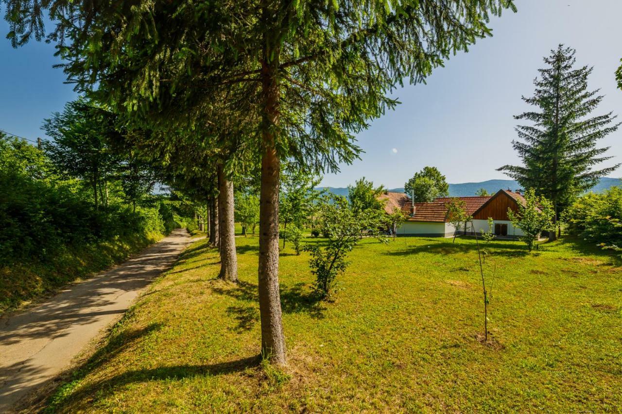 Beautiful Cottage With Heated Pool For 22 Ppl Plaški 外观 照片