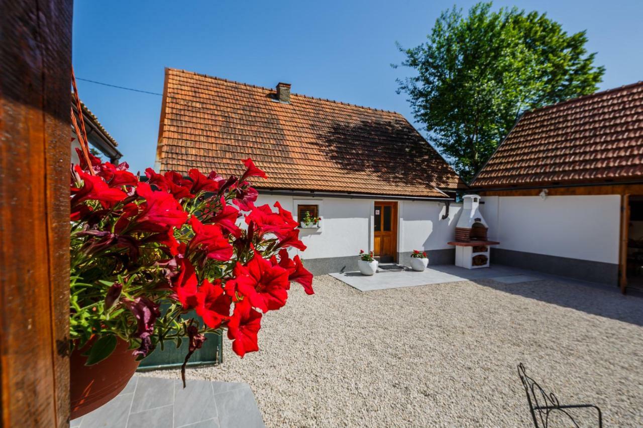 Beautiful Cottage With Heated Pool For 22 Ppl Plaški 外观 照片
